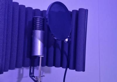 The Phoenix Centre Recording Studio